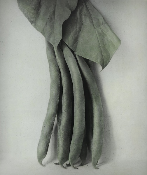 Ingar Krauss: ohne Titel, Jena 2014, 
silver bromide paper and oil paint, 50 x 42 cm, framed, Ed. 8

